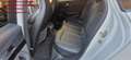 Audi RS 4 Avant quattro Business Bianco - thumbnail 12