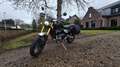 Triumph Sonstige Scrambler 1200 XE (2023) Grün - thumbnail 1