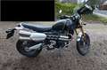 Triumph Sonstige Scrambler 1200 XE (2023) Grün - thumbnail 10