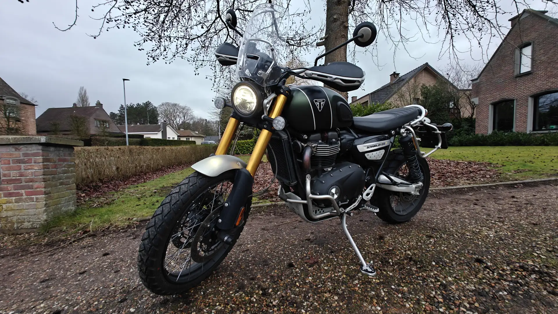 Triumph Sonstige Scrambler 1200 XE (2023) Grün - 2