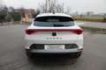 CUPRA Formentor 1.5 TSI DSG - IN SEDE - acc - luci soffuse - PROMO Wit - thumbnail 7