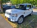 Land Rover Discovery 3.0 tdV6 SE 210cv auto - thumbnail 1