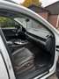 Audi SQ7 4.0 TDI quattro tiptronic - thumbnail 13
