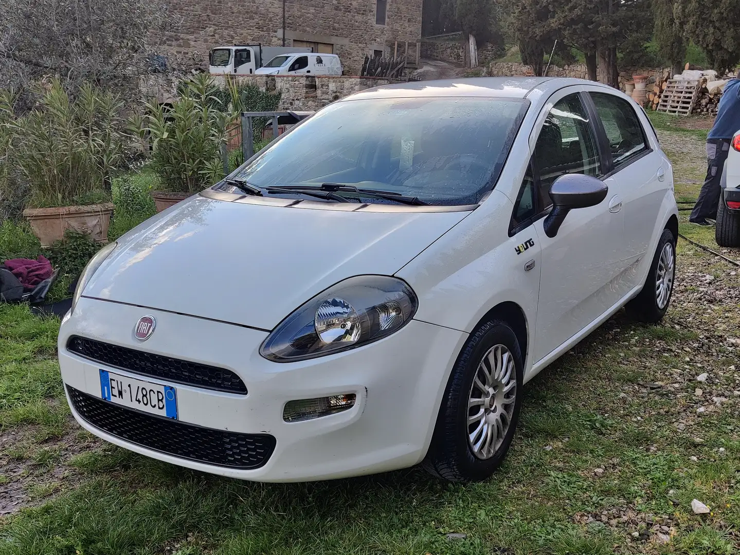 Fiat Punto Young 1.2 8V 70cv 2014 Euro 6 White - 1