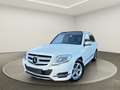 Mercedes-Benz GLK 220 CDI*AUTOM.*112TKM*PANO*NAVI*XEN*LEDER* Weiß - thumbnail 1