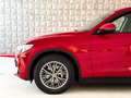 Alfa Romeo Stelvio 2020 2.2 t Business Q4 190cv auto - IVA ESPOSTA Rosso - thumbnail 3