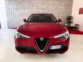 Alfa Romeo Stelvio 2020 2.2 t Business Q4 190cv auto - IVA ESPOSTA Rosso - thumbnail 5
