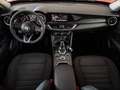 Alfa Romeo Stelvio 2020 2.2 t Business Q4 190cv auto - IVA ESPOSTA Rosso - thumbnail 10