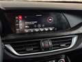 Alfa Romeo Stelvio 2020 2.2 t Business Q4 190cv auto - IVA ESPOSTA Rosso - thumbnail 13