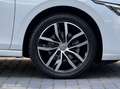 Volkswagen Golf 1.5 TSI Life Business|ACC|stoelverwarming|17 Blanco - thumbnail 18