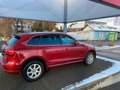 Audi Q5 2.0 TDI quattro S-Line S-Tronic NAVI~XENON~ Červená - thumbnail 6