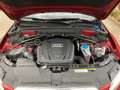 Audi Q5 2.0 TDI quattro S-Line S-Tronic NAVI~XENON~ Rood - thumbnail 18