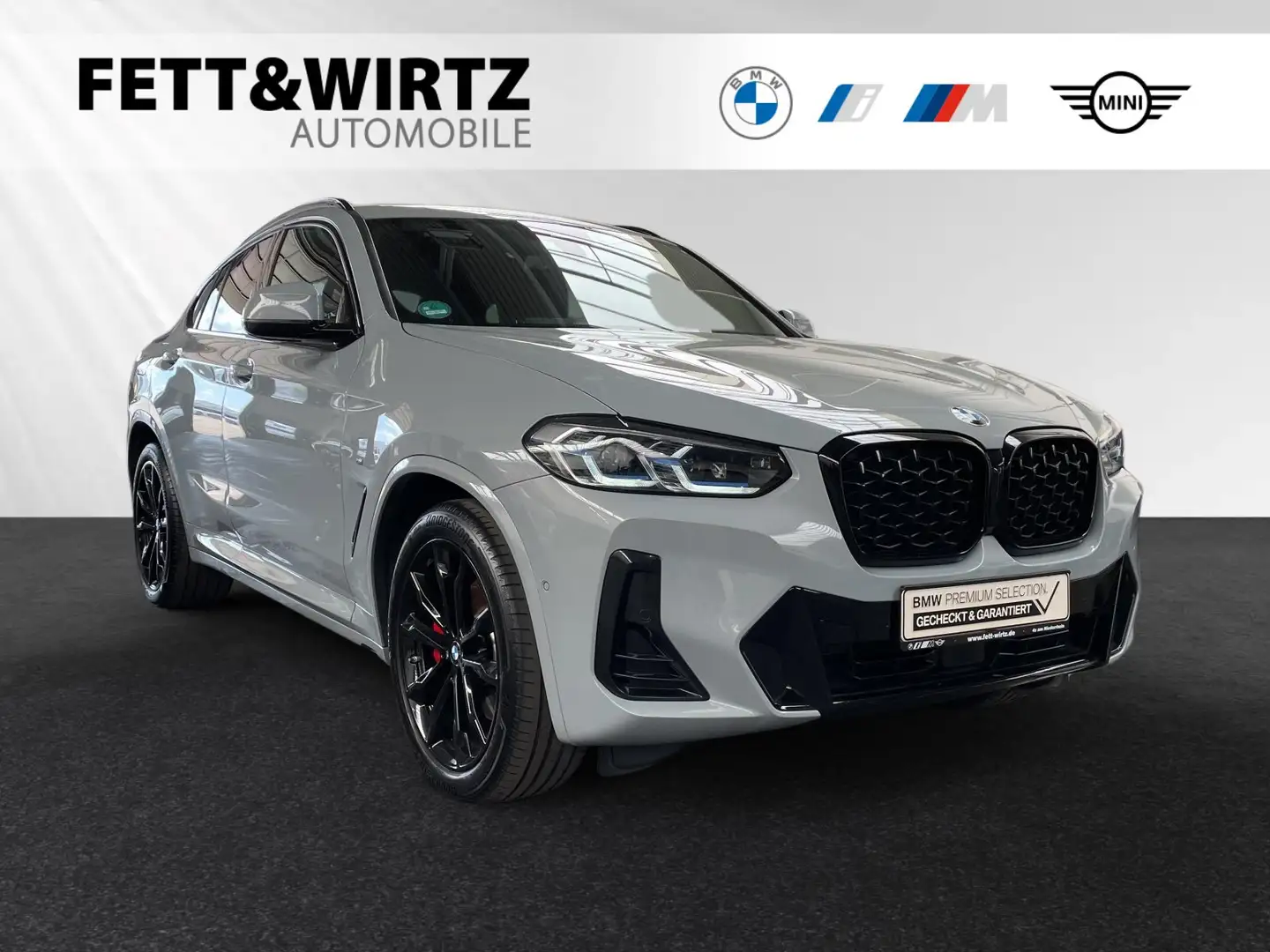 BMW X4 xDrive20d M Sport|AHK|Laser|Head-Up|Stop&Go Gris - 1
