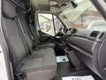 Opel Movano L3H2 2,3  3,5t € 14.158,33 Weiß - thumbnail 13