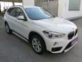 BMW X1 xDrive 20d Sport Line Aut. Weiß - thumbnail 3