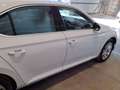 Skoda Superb 2.0TDI Active DSG 110kW Blanco - thumbnail 5