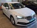 Skoda Superb 2.0TDI Active DSG 110kW Blanco - thumbnail 3