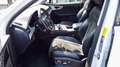 Audi Q7 3,0 TDI *7-Sitzer Quattro +Viele Extras Tiptronic Weiß - thumbnail 3