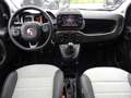 Fiat Panda Panda Cross 1.0 FireFly S&S Hybrid Grau - thumbnail 14