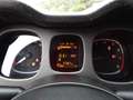 Fiat Panda Panda Cross 1.0 FireFly S&S Hybrid Grau - thumbnail 16