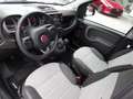 Fiat Panda Panda Cross 1.0 FireFly S&S Hybrid Grau - thumbnail 10