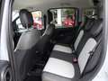 Fiat Panda Panda Cross 1.0 FireFly S&S Hybrid Grau - thumbnail 12