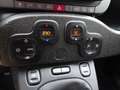 Fiat Panda Panda Cross 1.0 FireFly S&S Hybrid Grau - thumbnail 18