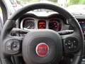 Fiat Panda Panda Cross 1.0 FireFly S&S Hybrid Grau - thumbnail 15