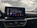 CUPRA Formentor 2,0 TDI 4Drive DSG | NP € 48.000 Grau - thumbnail 23