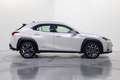 Lexus UX 250h Premium 4WD Blanco - thumbnail 7