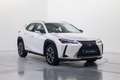 Lexus UX 250h Premium 4WD Blanco - thumbnail 3