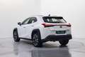 Lexus UX 250h Premium 4WD Blanco - thumbnail 9