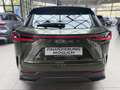 Lexus Sonstige NX 450h+ Executive 360KAM.Plug in, Allrad, LEDER Grün - thumbnail 6
