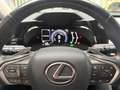 Lexus Sonstige NX 450h+ Executive 360KAM.Plug in, Allrad, LEDER Grün - thumbnail 10