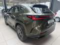 Lexus Sonstige NX 450h+ Executive 360KAM.Plug in, Allrad, LEDER Grün - thumbnail 4