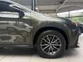 Lexus Sonstige NX 450h+ Executive 360KAM.Plug in, Allrad, LEDER Grün - thumbnail 8