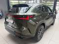 Lexus Sonstige NX 450h+ Executive 360KAM.Plug in, Allrad, LEDER Grün - thumbnail 5