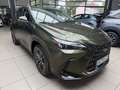 Lexus Sonstige NX 450h+ Executive 360KAM.Plug in, Allrad, LEDER Grün - thumbnail 3