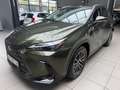 Lexus Sonstige NX 450h+ Executive 360KAM.Plug in, Allrad, LEDER Grün - thumbnail 1