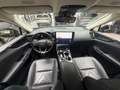 Lexus Sonstige NX 450h+ Executive 360KAM.Plug in, Allrad, LEDER Grün - thumbnail 14