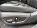 Lexus Sonstige NX 450h+ Executive 360KAM.Plug in, Allrad, LEDER Grün - thumbnail 20