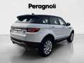 Land Rover Range Rover Evoque 2.0 eD4 5p. Business Edition Wit - thumbnail 2