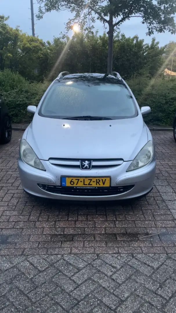 Peugeot 307 1.6 16V Grijs - 1