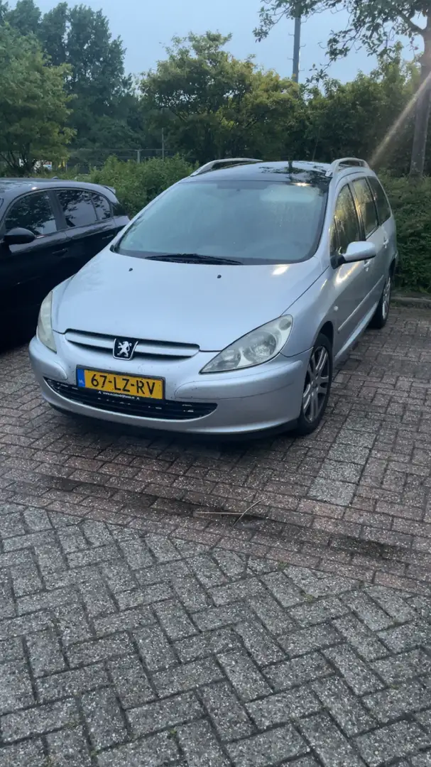 Peugeot 307 1.6 16V Grijs - 2