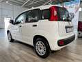 Fiat Panda 1.0 N1 Autocarro Hybrid Easy Van 4 posti Autocarro Bianco - thumbnail 4