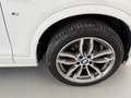 BMW X4 xDrive20d Weiß - thumbnail 17