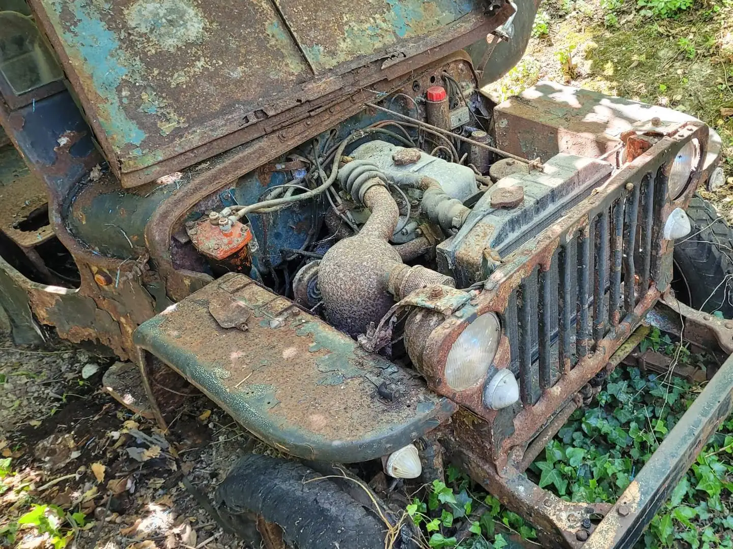 Jeep Willys - 2