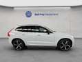 Volvo XC60 XC60 B4 R-Design Aut 21'' 360° Voll-LED H&K Google Weiß - thumbnail 6