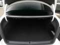 Volkswagen Passat CC V6 4Motion Aut. Leder Xenon Glasdach Blanc - thumbnail 7