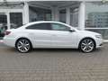 Volkswagen Passat CC V6 4Motion Aut. Leder Xenon Glasdach Blanc - thumbnail 4